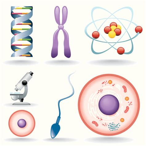 Biology Cells Clipart In Biology