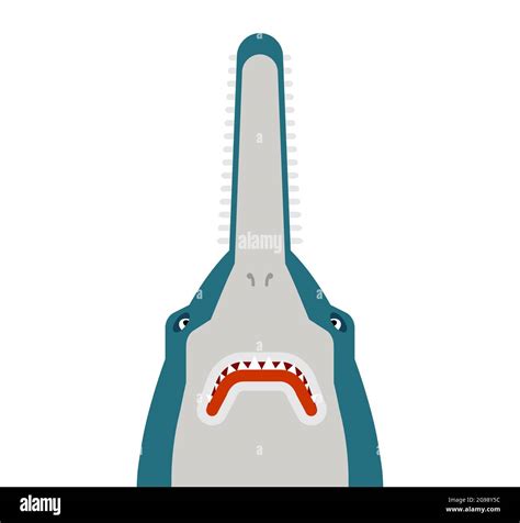 Sawfish Head Isolated Marine Predator Vector Illustration Stock