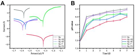 A The Potentiodynamic Polarization Curves Of The Different Samples