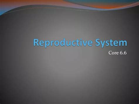 Ppt Reproductive System Powerpoint Presentation Free Download Id