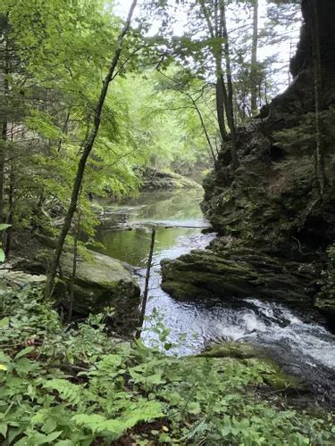 Best Hikes And Trails In George Waldo State Park Alltrails