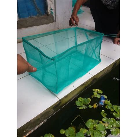 Jual Keramba Ikan 50x25x25 Kerambah Mini Kecil Hapa Cupang Anak Ikan