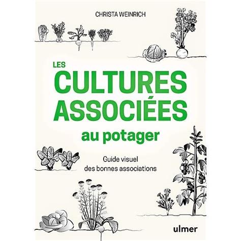 Les Cultures Associ Es Au Potager Guide Visuel Des Bonnes Associations