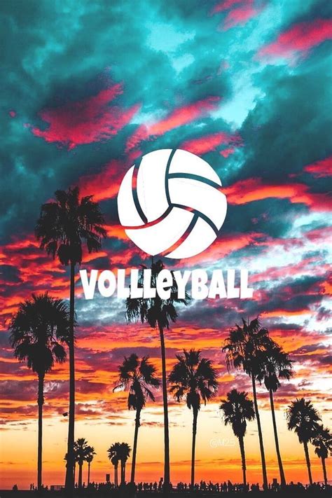 Details Background Volleyball Wallpaper Abzlocal Mx