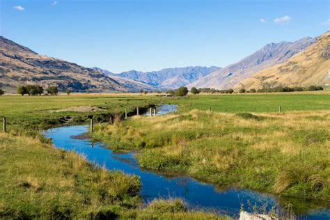 New Zealand Countryside Stock Photos Royalty Free New Zealand