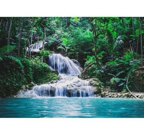 Escape to a tropical rainforest landscape wall mural - TenStickers