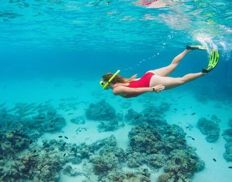 Snorkelen In Gran Canaria Ontdek De Prachtige Onderwaterwereld