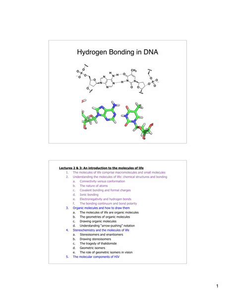 Pdf Hydrogen Bonding In Dna Harvard Universitysites Fas Harvard Edu