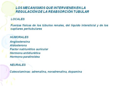 Elblogdefisio Clase De Regulaci N Del Manejo Renal De El Sodio El