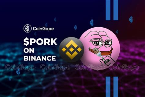 PORK Will The Altcoin Be Listed On Binance CoinGape