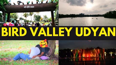 Bird Valley Garden Pimpri Chinchwad Laser Light Show Bird Valley