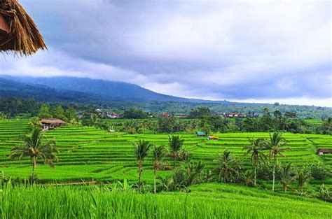 Cultural Experience Tour