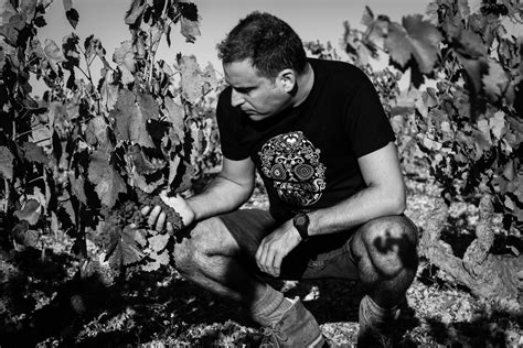 Sulfites In Wine What They Are And How They Affect Our Body Winery