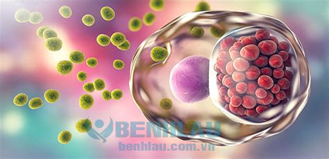 Bệnh Chlamydia Nguyên Nhân Triệu Chứng Và Cách điều Trị