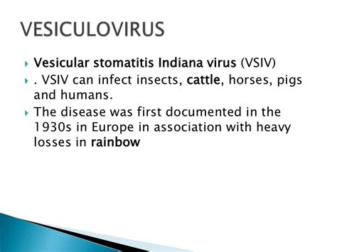 Rhabdoviridae ppt