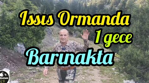 ISSIZ ORMANDA BARINAKTA BİR GECE YouTube