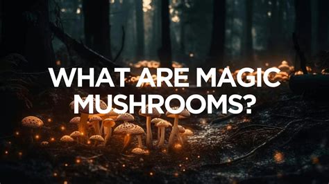 New Documentaries Explain The History Of Magic Mushromms - RYZE Superfoods