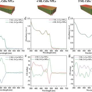 Coreshell Npls A Schematic And B Tem Image Of Cdse Cds Core Shell