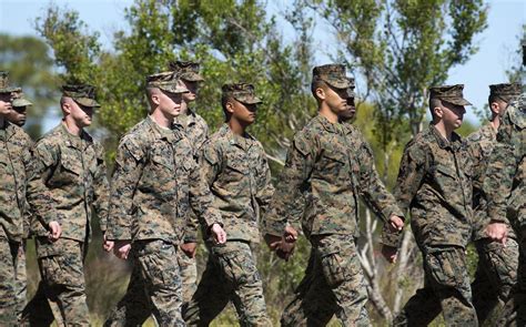 Navy And Marines Gear Up For Global Training In August Stars And Stripes