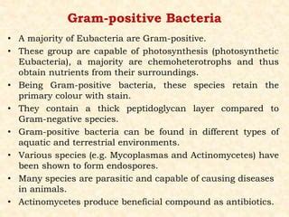 Eubacteria | PPT