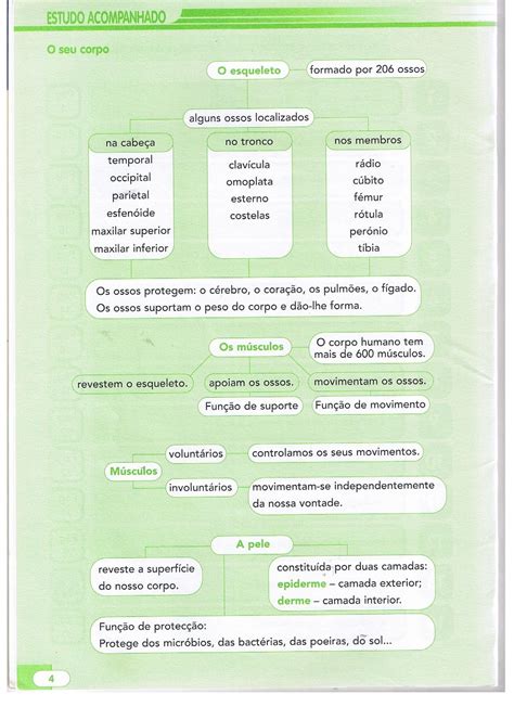 Saber Ao Cubo O Estudo Do Meio Ano Resumos E Esquemas