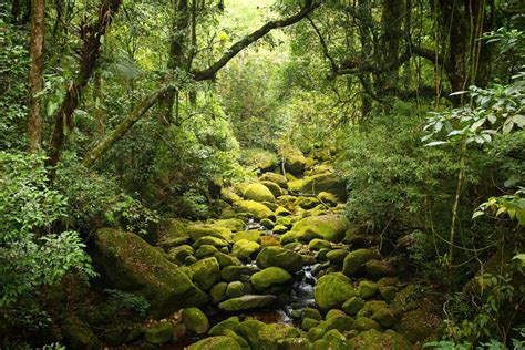 Coolest Diverse Ecosystems Around The World Studentuniverse