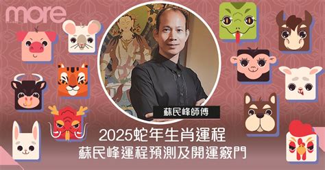 屬猴雞狗生肖運程2025｜蛇年屬猴小人同貴人齊至、屬雞人緣好