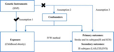 Frontiers Childhood Obesity And Risk Of Stroke A Mendelian