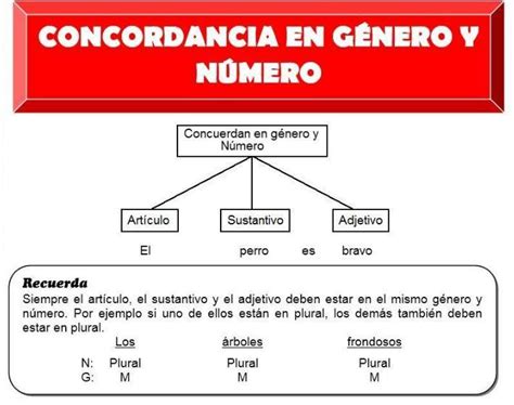 un cuadro sinóptico del tema de concordancia del género y número de los