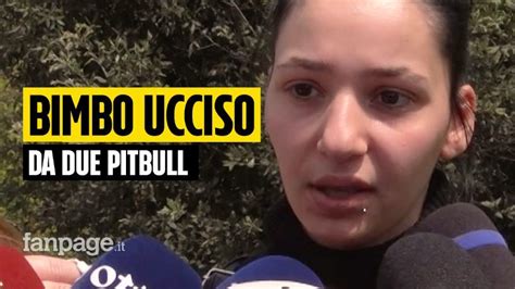 Bambino Ucciso Dai Pitbull Il Maggio Il Dissequestro Dei Cani Poi