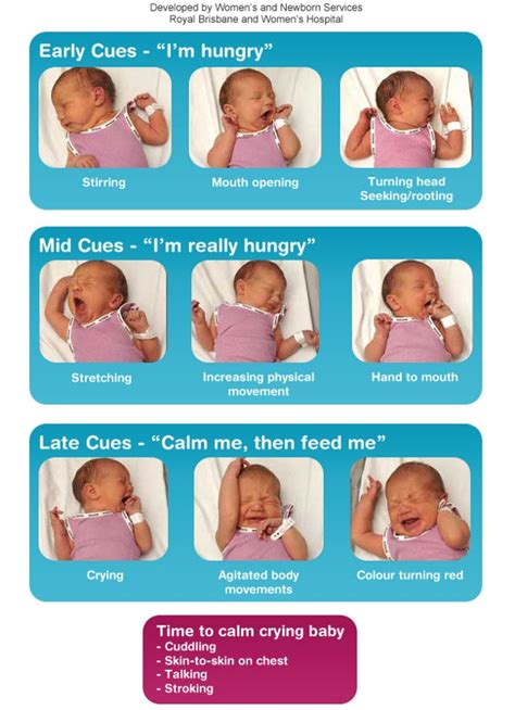 Bottle Feeding Advice Cwm Taf Morgannwg University Health Board