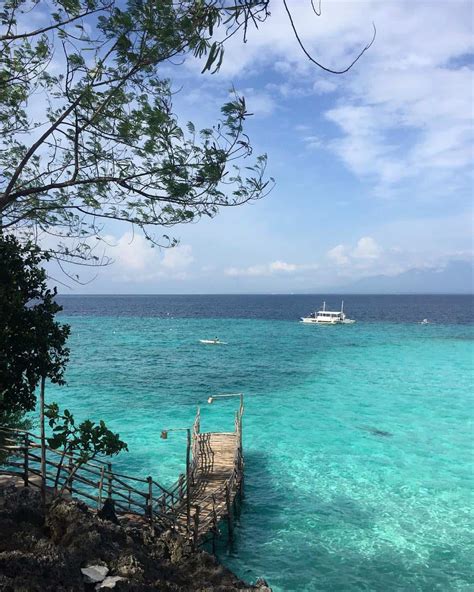 Cebu Oslob Guide Travel Itinerary Tourist Spots Budget