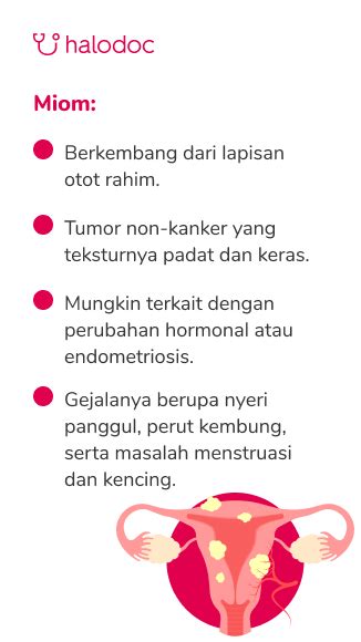 Hal Hal Yang Perlu Diketahui Tentang Miom Dan Kista