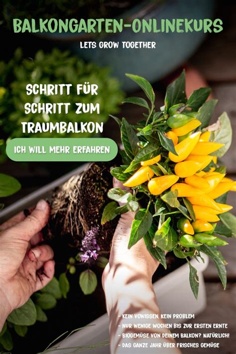 Der Selbstversorger Balkon Im April Garten Fr Ulein Der Garten Blog