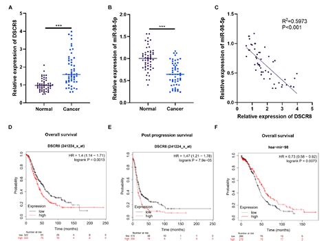 Figure 1 From A Positive Feedback Loop Of Lncrna Dscr8mir 98 5pstat3hif 1α Plays A Role In