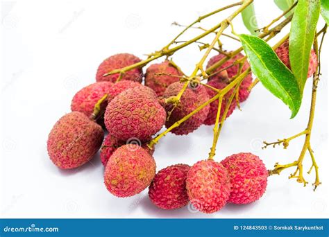 Fresh Lychees Fruit Stock Image Image Of Juicy Organic 124843503