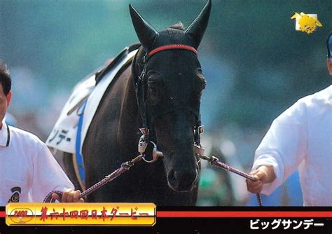 ビッグサンデー：第64回 日本ダービー出走馬「サラブレッドカード 97年上半期版」no107 カードショップ うるま屋