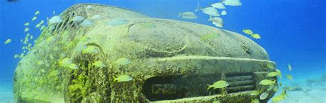 The Underwater Museum Cancun - MUSA Diving and Snorkeling