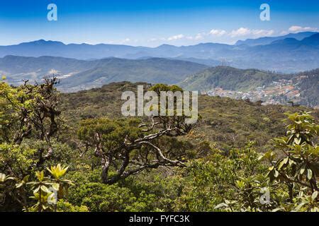 Nuwara Eliya Hill Station The Pidurutalagala Mountain The Highest Peak