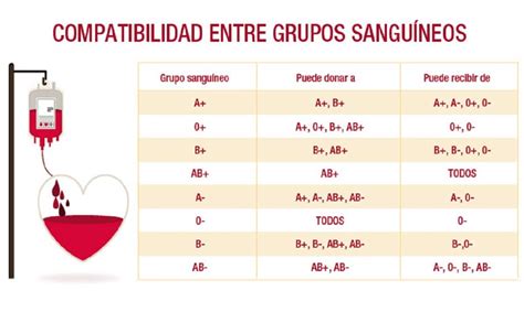 Tipos De Grupos Sangu Neos Y Riesgos En El Embarazo