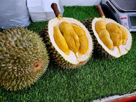 Black Thorn Durian Singapore Lobangsiah Sg