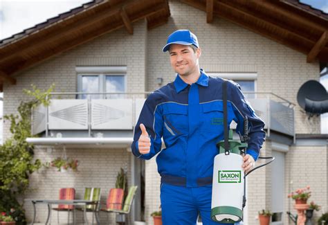 Saxon Pest Management Best Pest Control Services In Ilford London