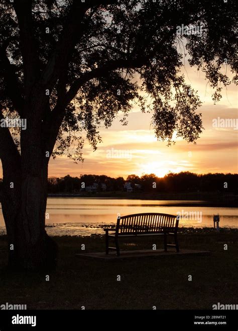 Sunset park bench Stock Photo - Alamy