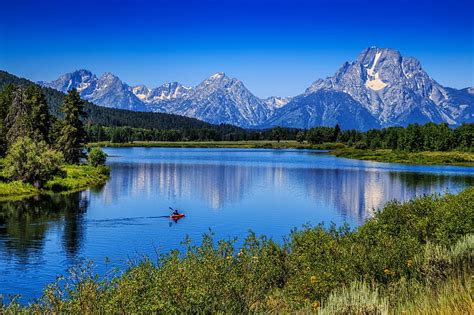 HD Wallpaper Jenny Lake In Wyoming Spring Flowers Rocky Mountains