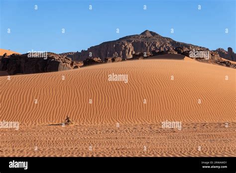 Sahara desert landscape Stock Photo - Alamy