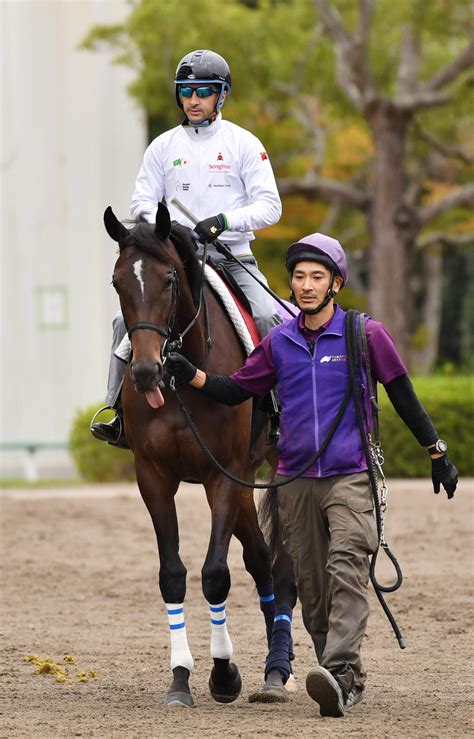 【秋華賞】ルメール騎手「すごくいい感じ」スターズオンアースで「ぜひ3冠を取りたい」一問一答 競馬写真ニュース 日刊スポーツ