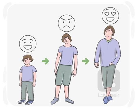 definition meaning  experience picture dictionary