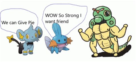 Mudkip Shinx Shinx Mudkip Meme - Mudkip Shinx Shinx Mudkip Strong Caterpie - Discover & Share GIFs