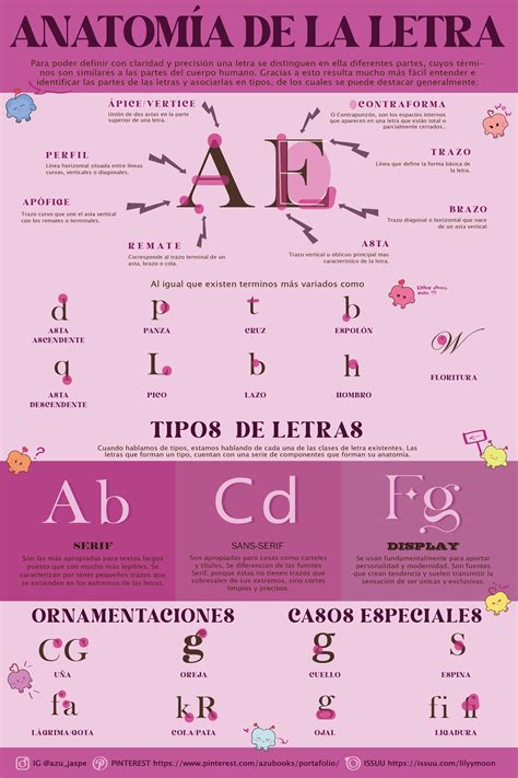 Caracter Sticas Anat Micas Que Ajudam A Identificar As Letras