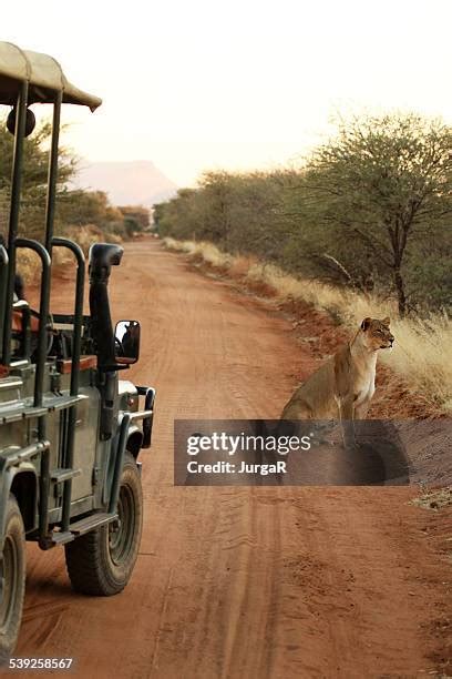 4,075 African Safari Jeep Stock Photos, High-Res Pictures, and Images ...